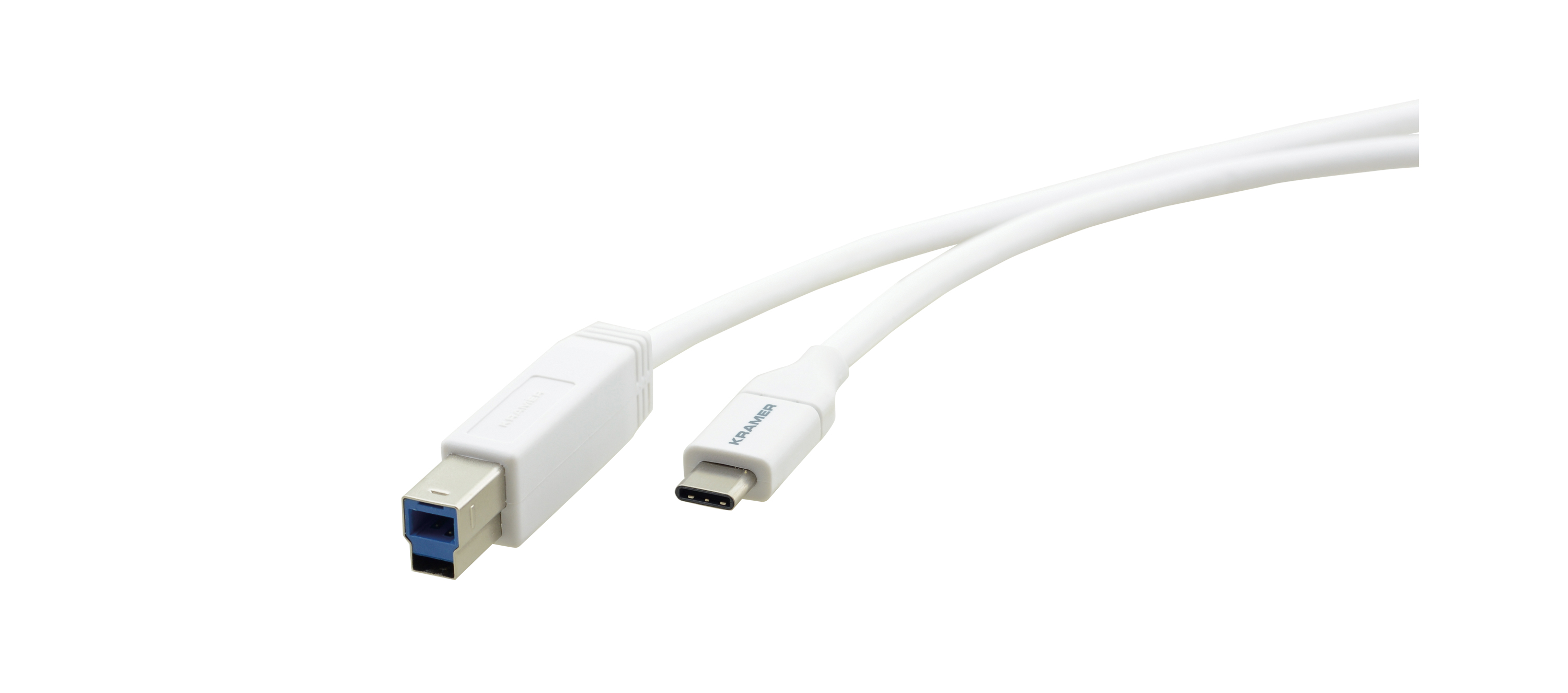 C-USB31/CB-3 USB 3.1 GEN–2 Cables USB–C (M) to USB–B (M) — 3ft