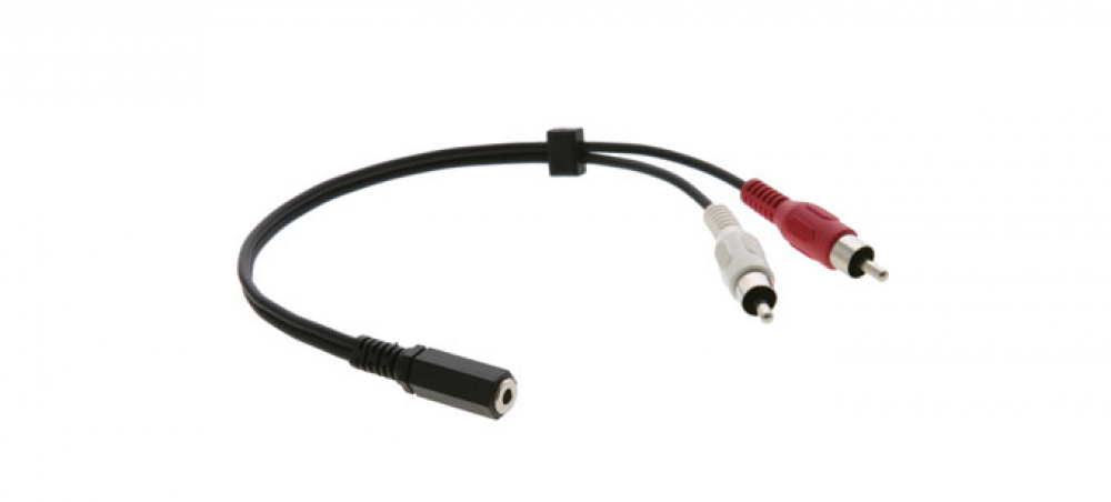 C-A35M/2RAM-10 3.5mm to 2 RCA Breakout Cable 10'